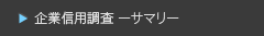 企業信用調査調査ーサマリー