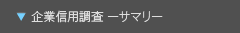 企業信用調査ーサマリー